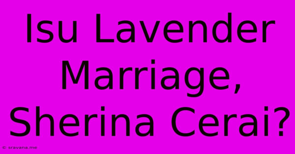 Isu Lavender Marriage, Sherina Cerai?