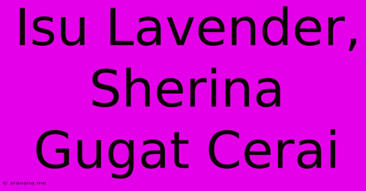 Isu Lavender, Sherina Gugat Cerai