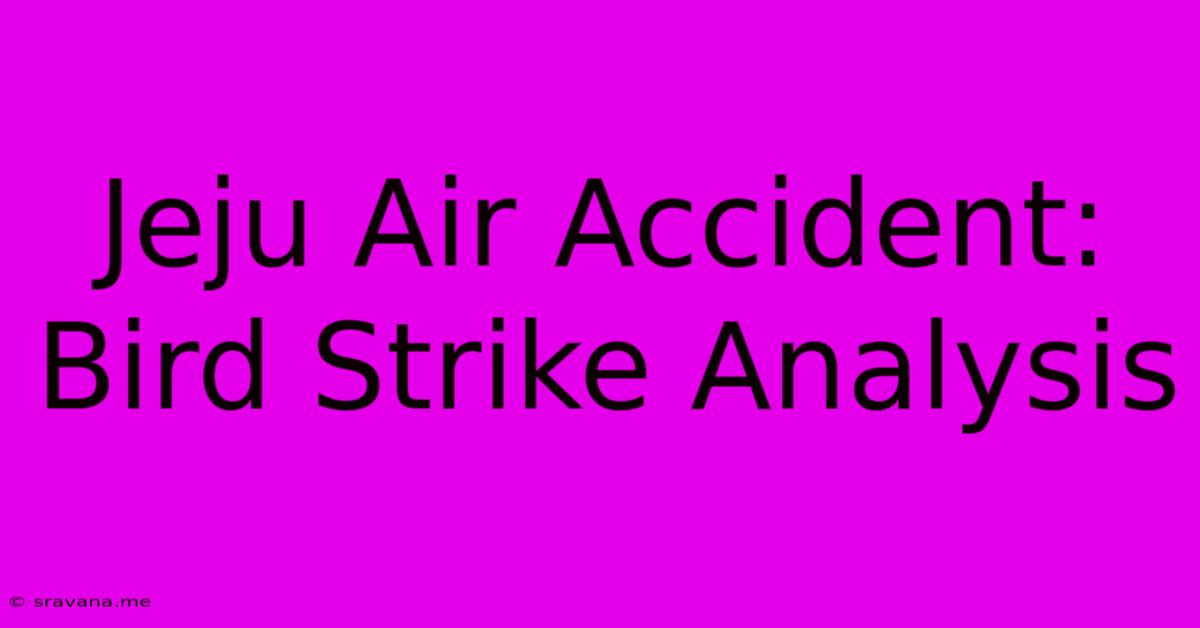 Jeju Air Accident: Bird Strike Analysis