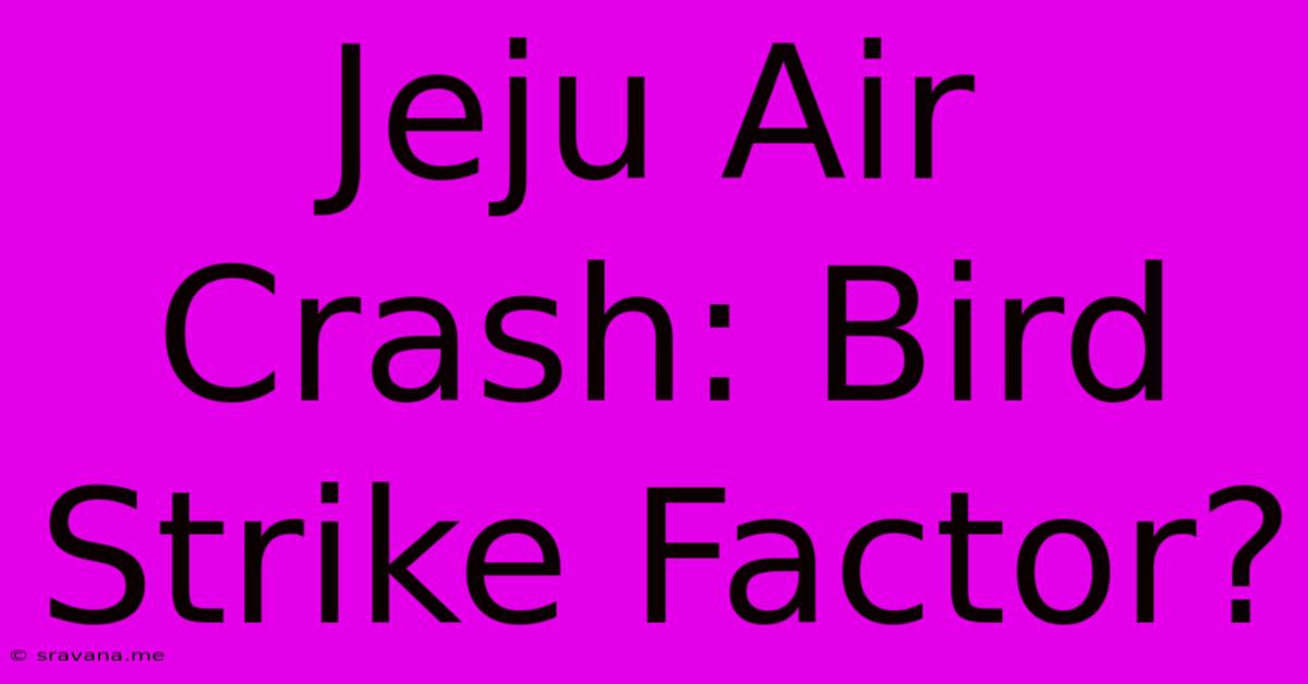 Jeju Air Crash: Bird Strike Factor?