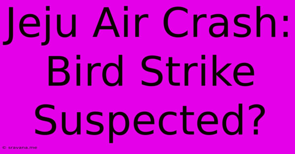 Jeju Air Crash: Bird Strike Suspected?