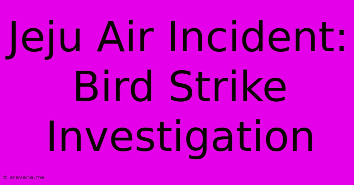 Jeju Air Incident: Bird Strike Investigation