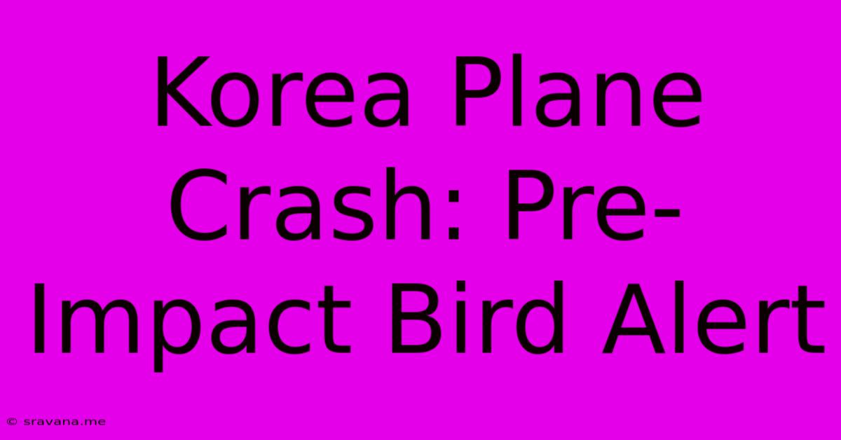 Korea Plane Crash: Pre-Impact Bird Alert