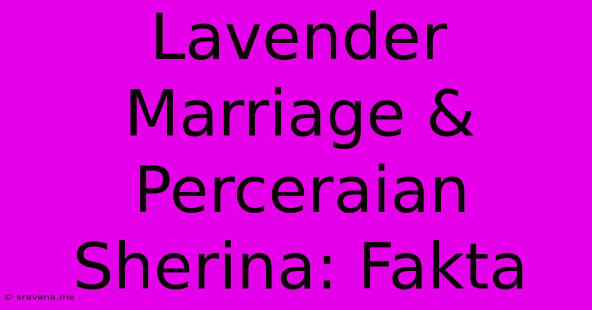 Lavender Marriage & Perceraian Sherina: Fakta