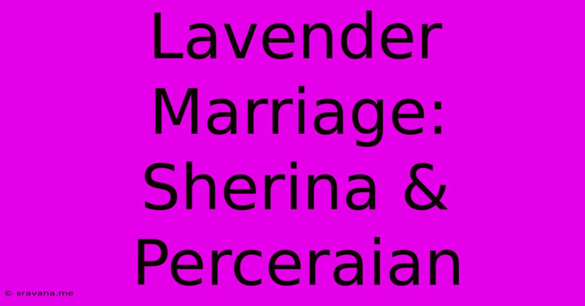 Lavender Marriage:  Sherina & Perceraian