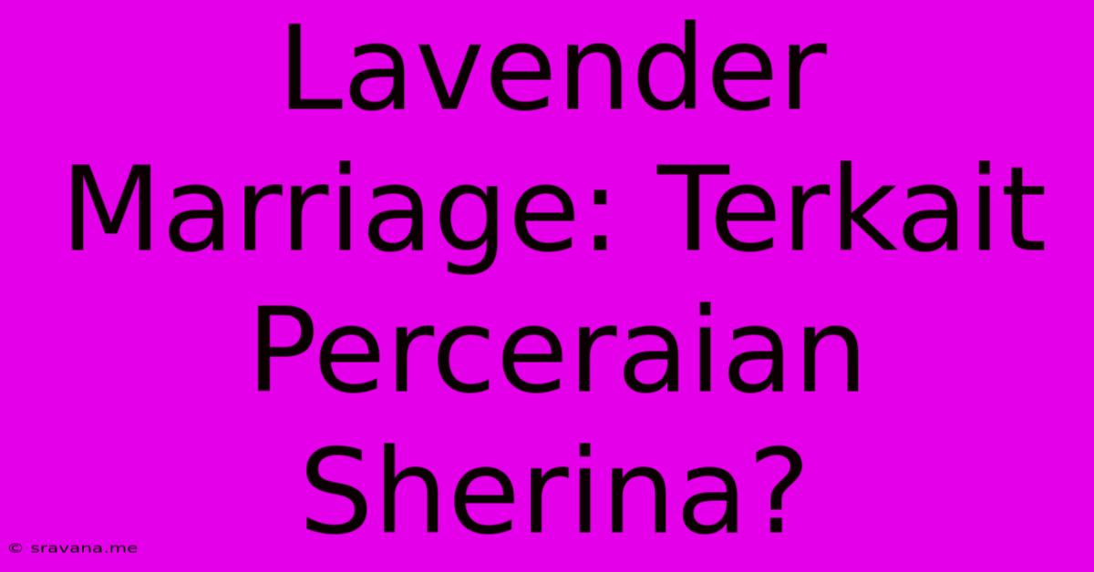 Lavender Marriage: Terkait Perceraian Sherina?