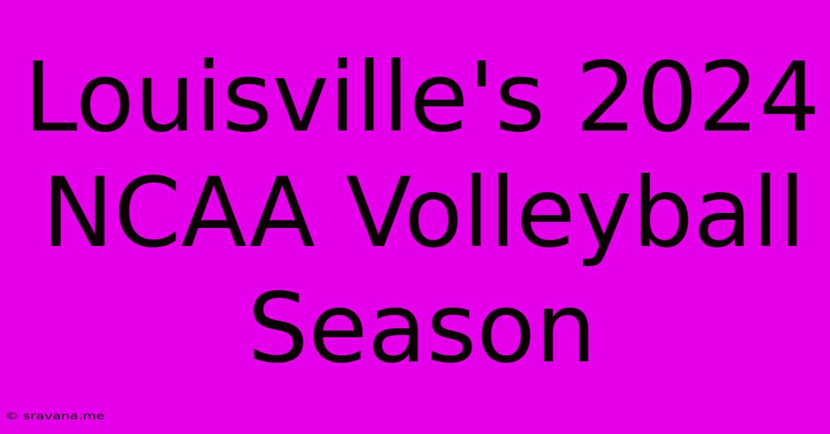 Louisville's 2024 NCAA Volleyball Season