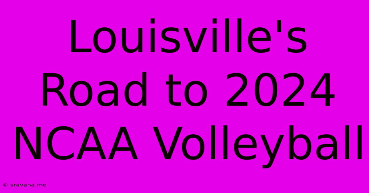 Louisville's Road To 2024 NCAA Volleyball