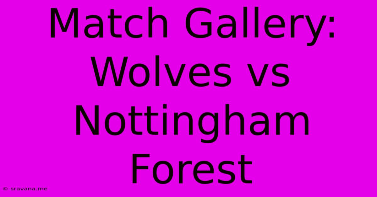 Match Gallery: Wolves Vs Nottingham Forest