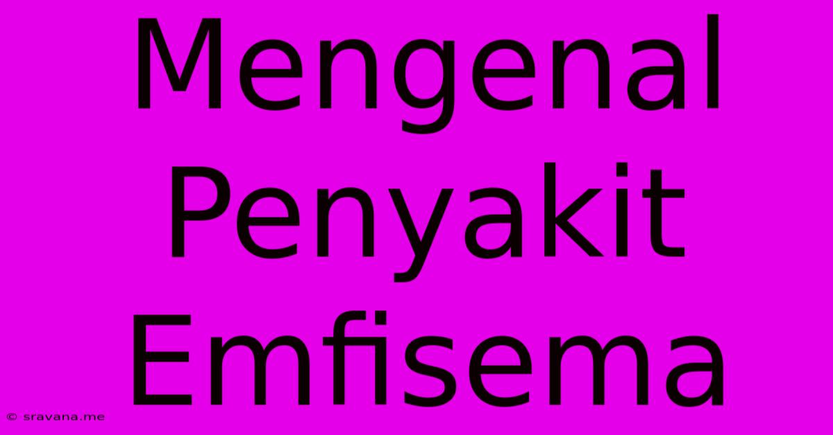 Mengenal Penyakit Emfisema