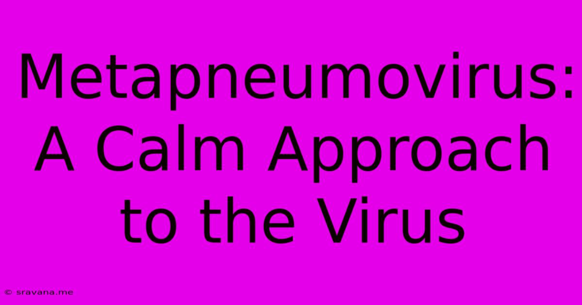 Metapneumovirus: A Calm Approach To The Virus