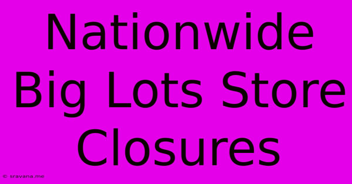 Nationwide Big Lots Store Closures