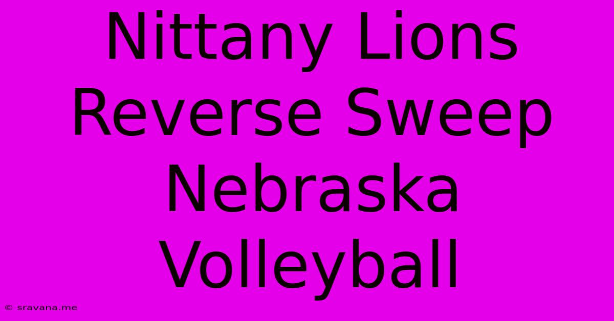 Nittany Lions Reverse Sweep Nebraska Volleyball