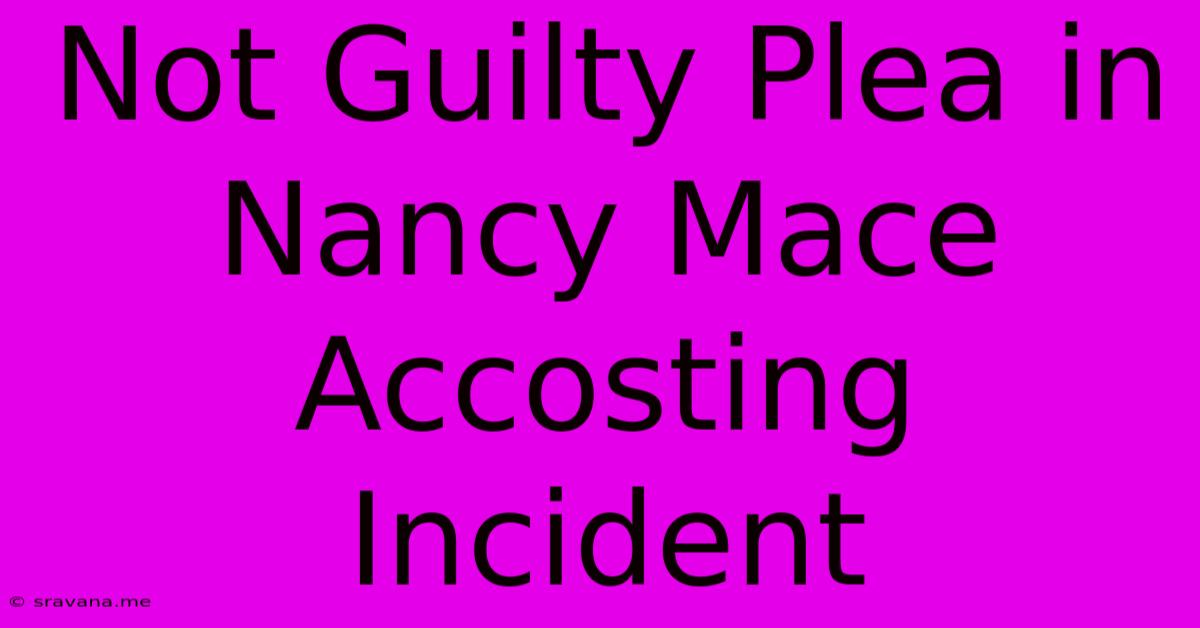 Not Guilty Plea In Nancy Mace Accosting Incident