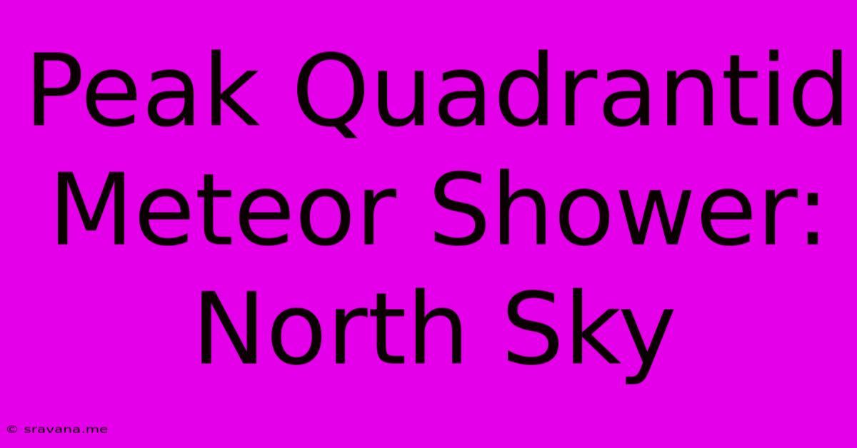 Peak Quadrantid Meteor Shower: North Sky