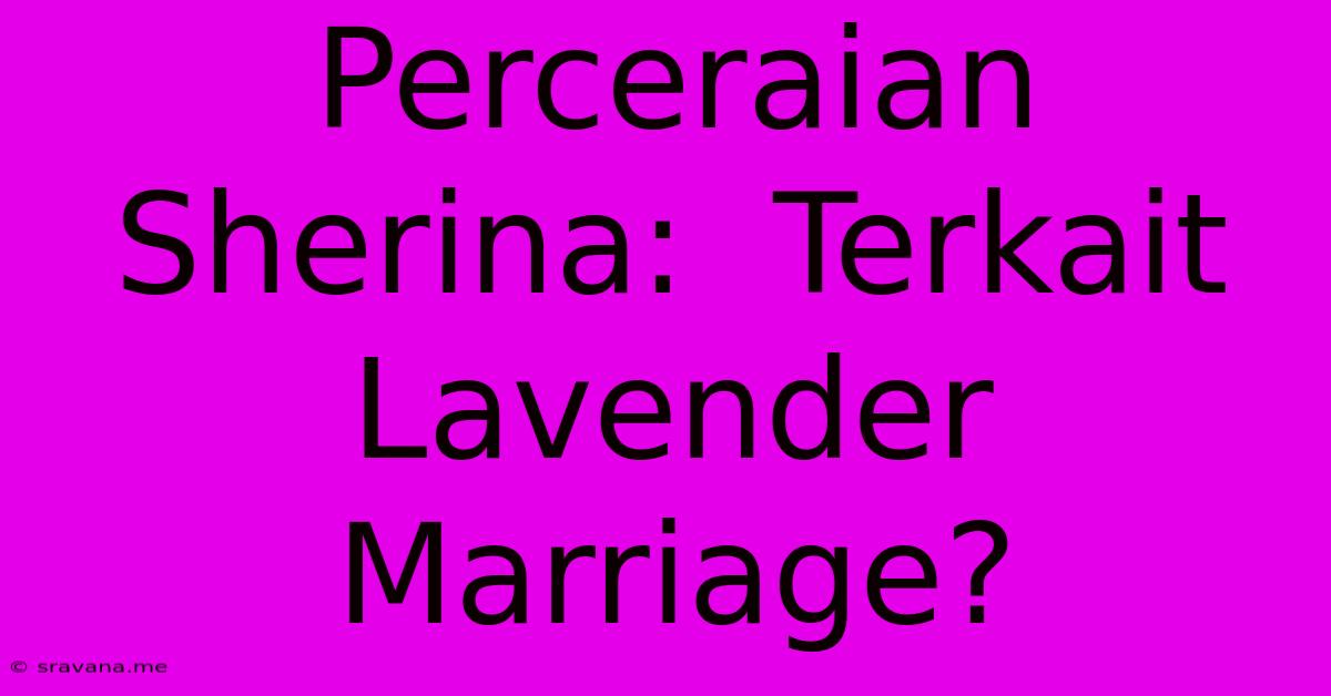 Perceraian Sherina:  Terkait Lavender Marriage?