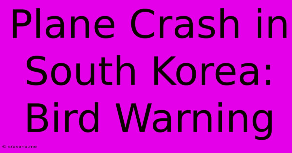 Plane Crash In South Korea: Bird Warning