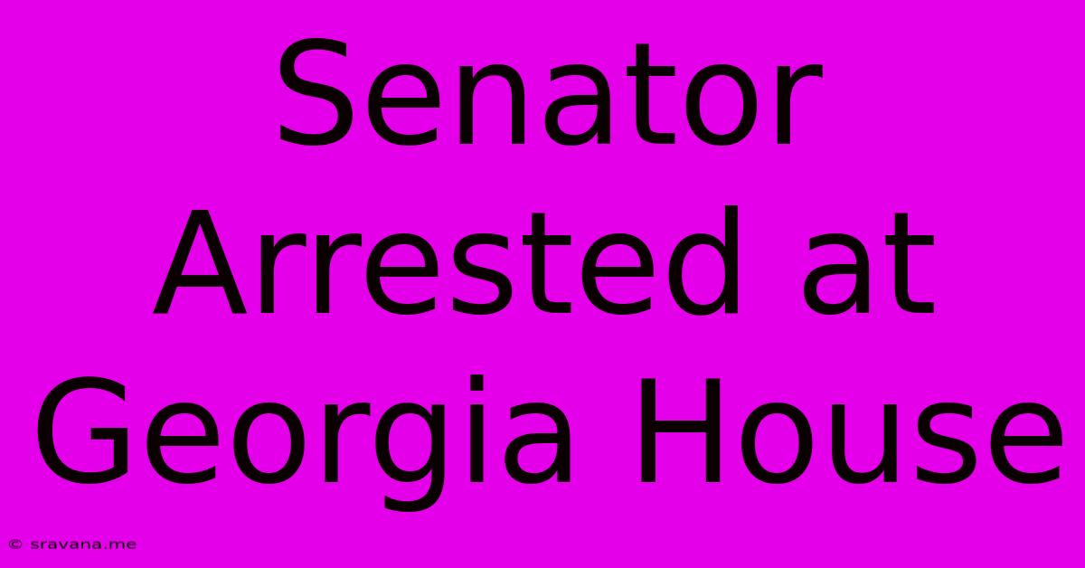 Senator Arrested At Georgia House