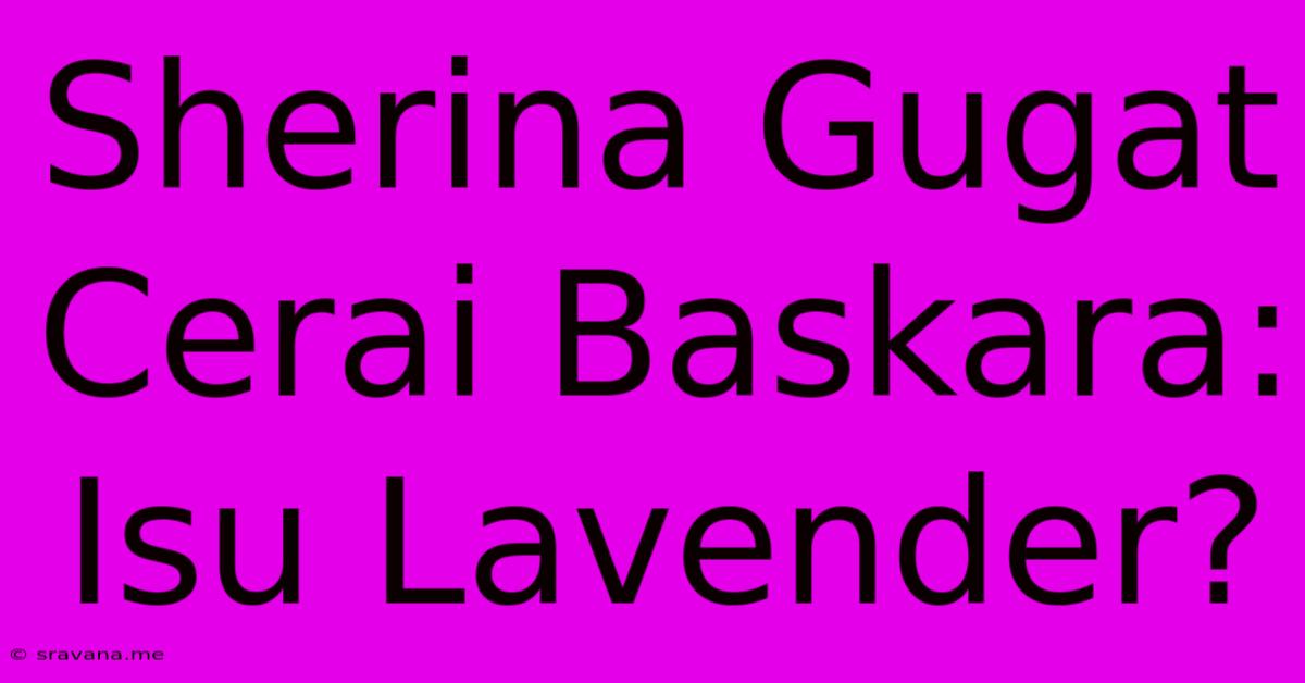 Sherina Gugat Cerai Baskara: Isu Lavender?