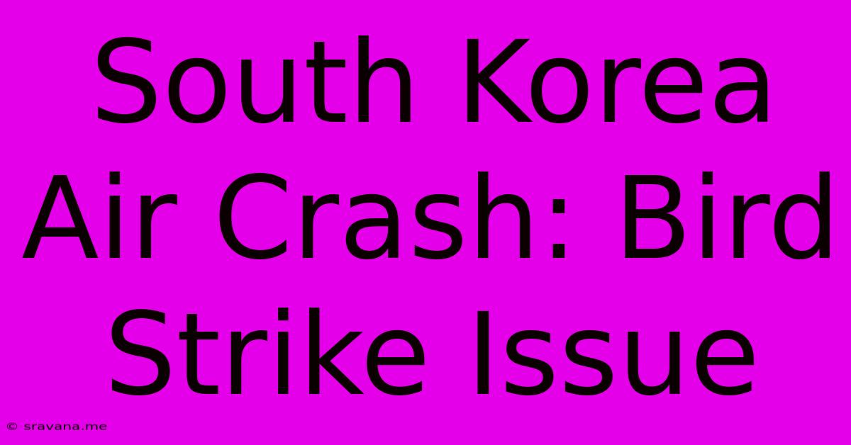 South Korea Air Crash: Bird Strike Issue