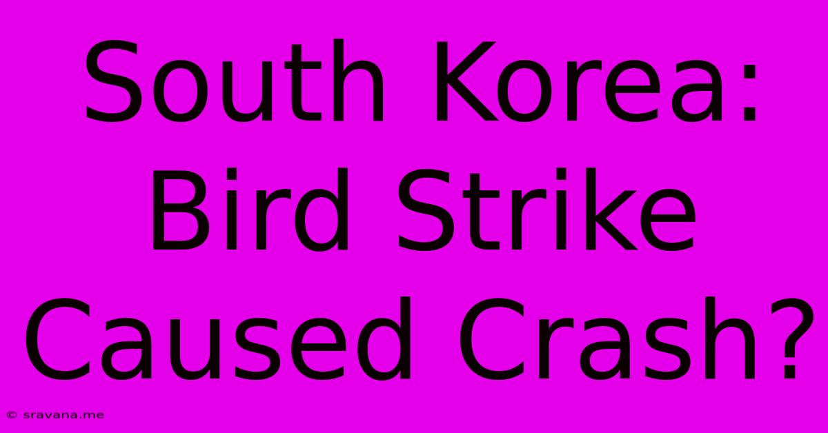 South Korea: Bird Strike Caused Crash?