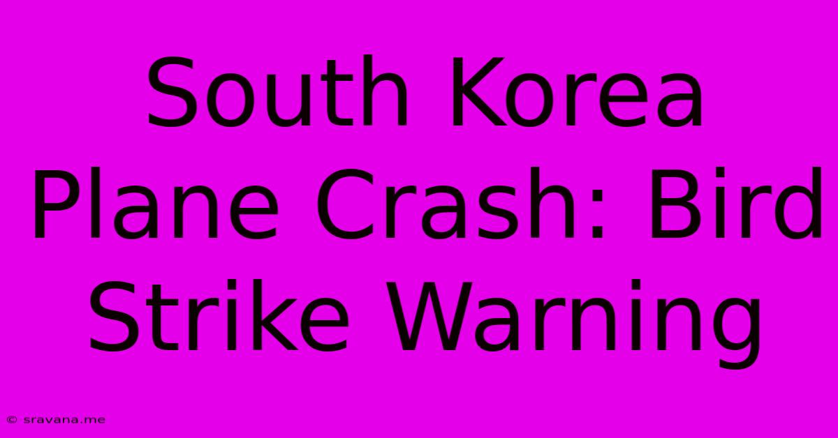 South Korea Plane Crash: Bird Strike Warning