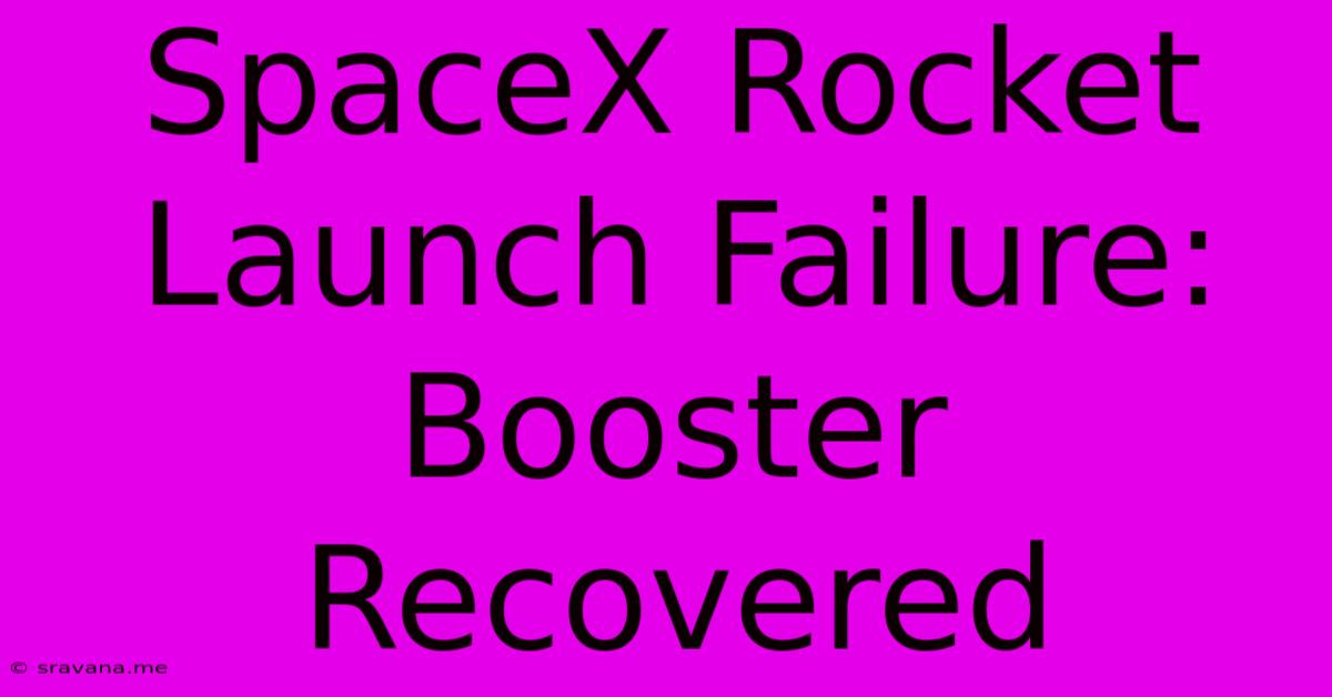 SpaceX Rocket Launch Failure: Booster Recovered