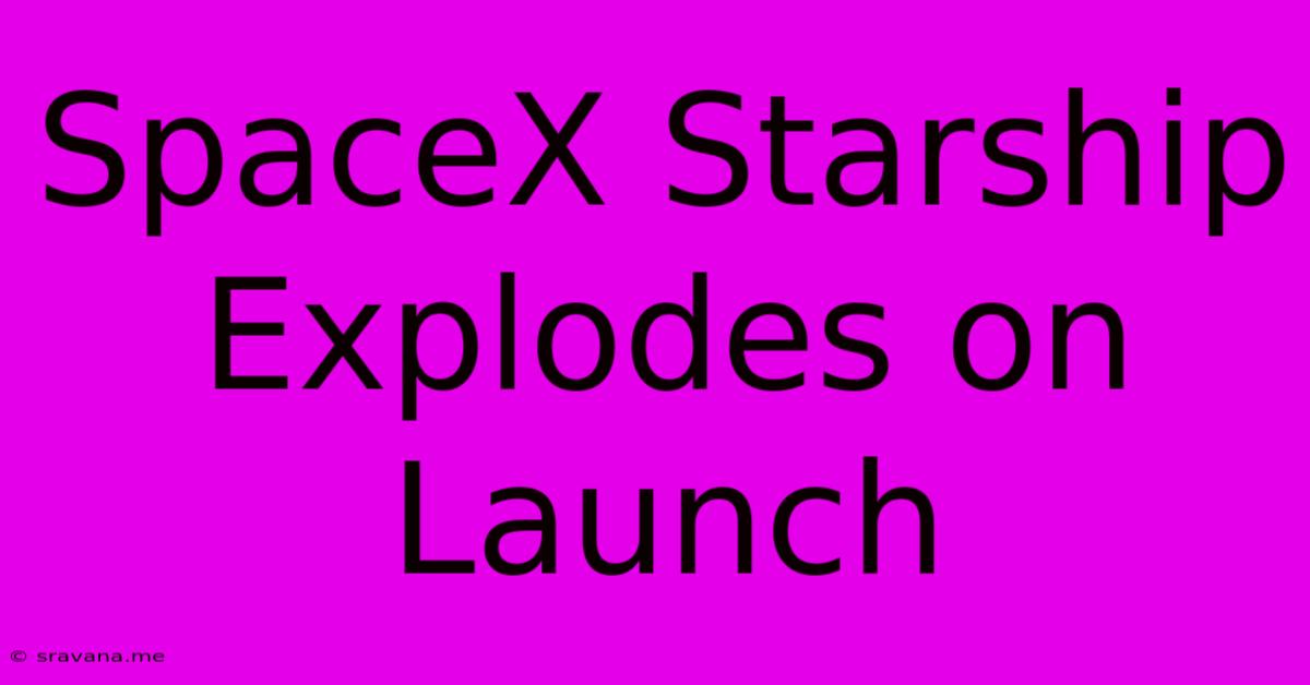 SpaceX Starship Explodes On Launch