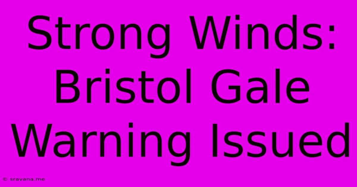 Strong Winds: Bristol Gale Warning Issued