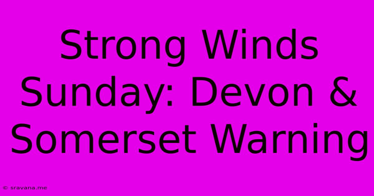 Strong Winds Sunday: Devon & Somerset Warning