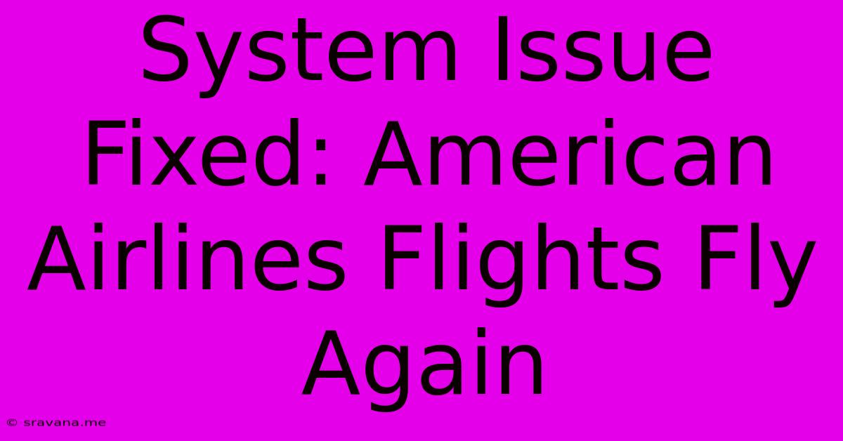 System Issue Fixed: American Airlines Flights Fly Again