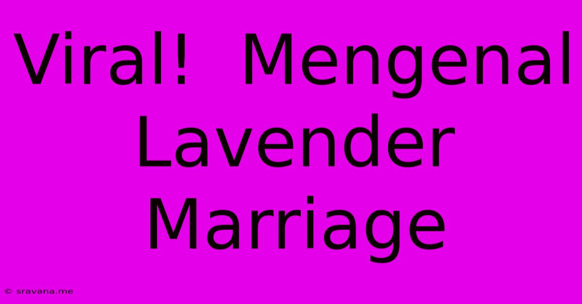 Viral!  Mengenal Lavender Marriage