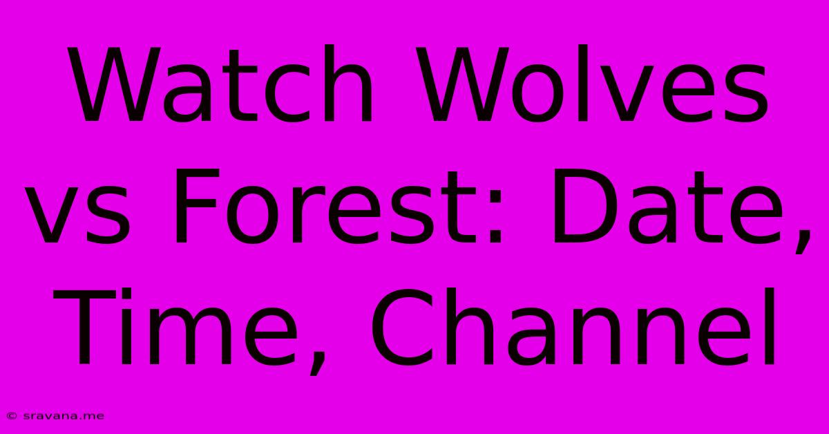 Watch Wolves Vs Forest: Date, Time, Channel