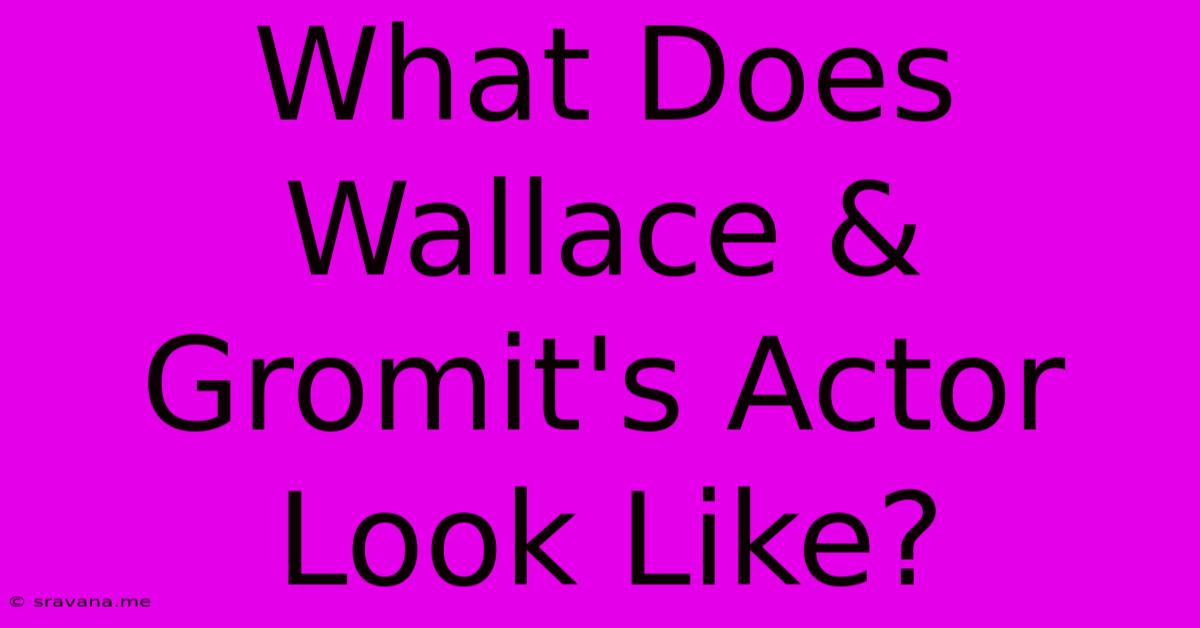 What Does Wallace & Gromit's Actor Look Like?