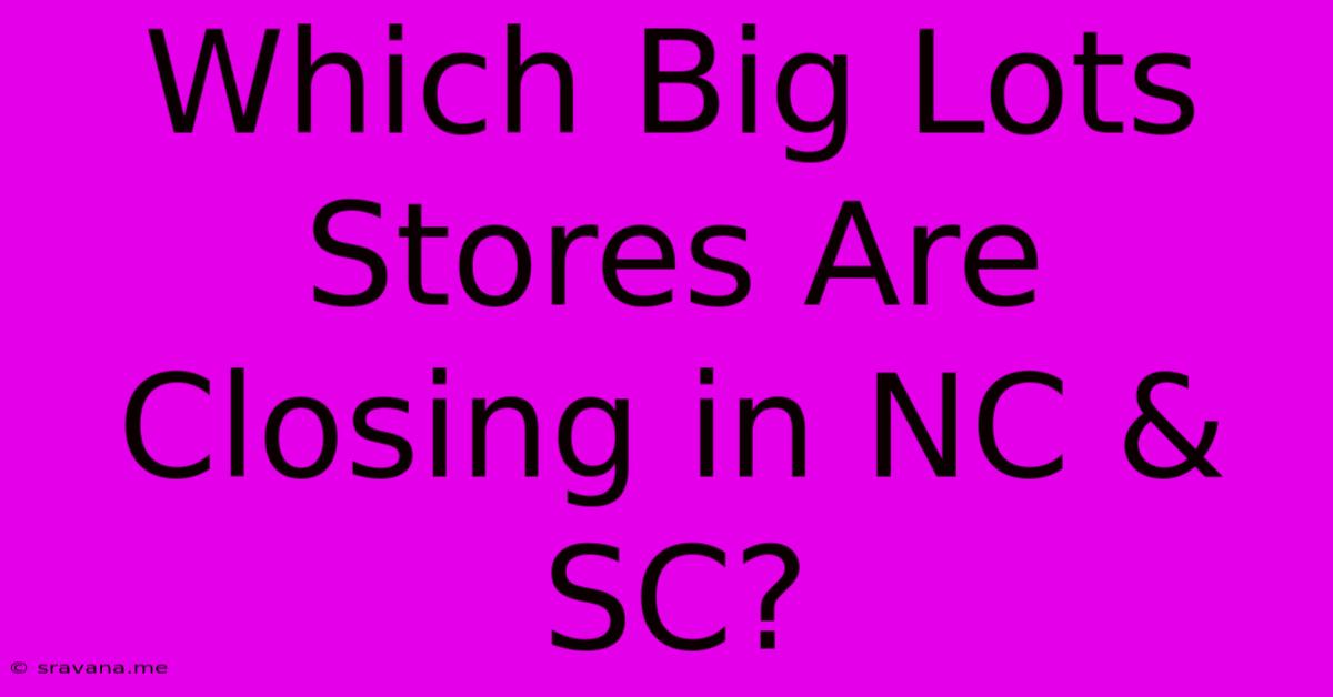 Which Big Lots Stores Are Closing In NC & SC?