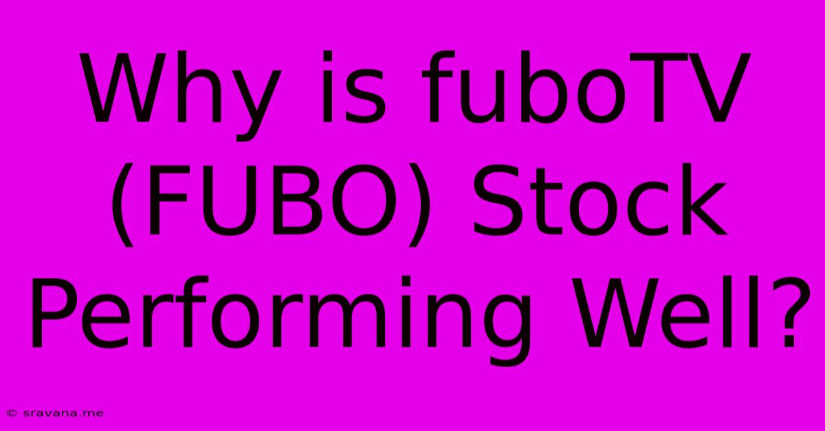 Why Is FuboTV (FUBO) Stock Performing Well?