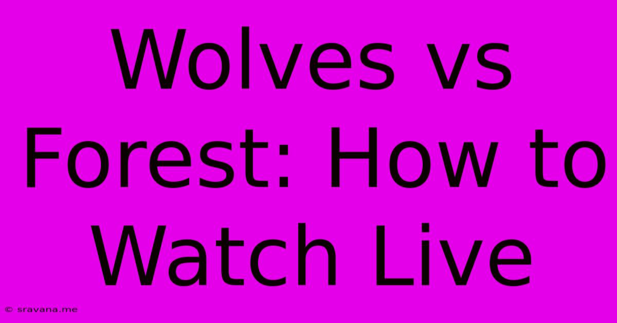 Wolves Vs Forest: How To Watch Live