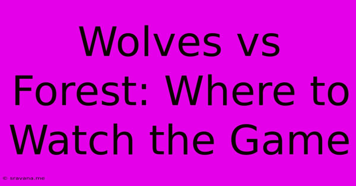 Wolves Vs Forest: Where To Watch The Game