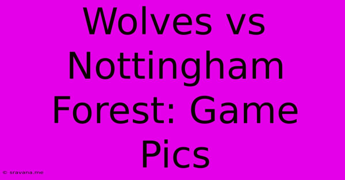 Wolves Vs Nottingham Forest: Game Pics