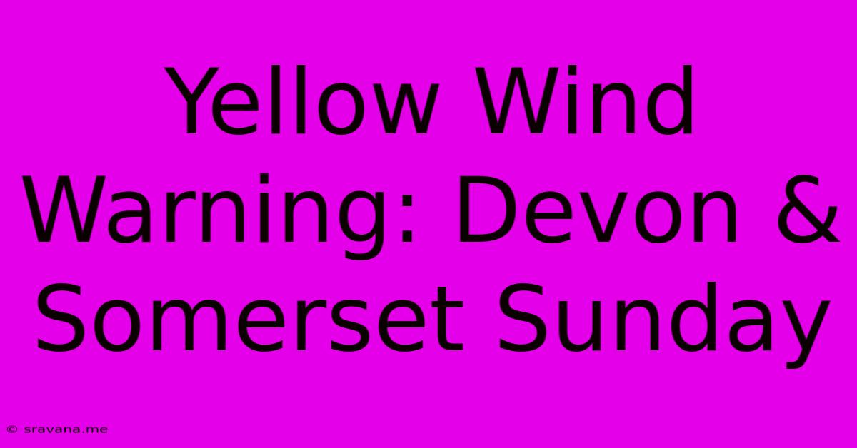 Yellow Wind Warning: Devon & Somerset Sunday