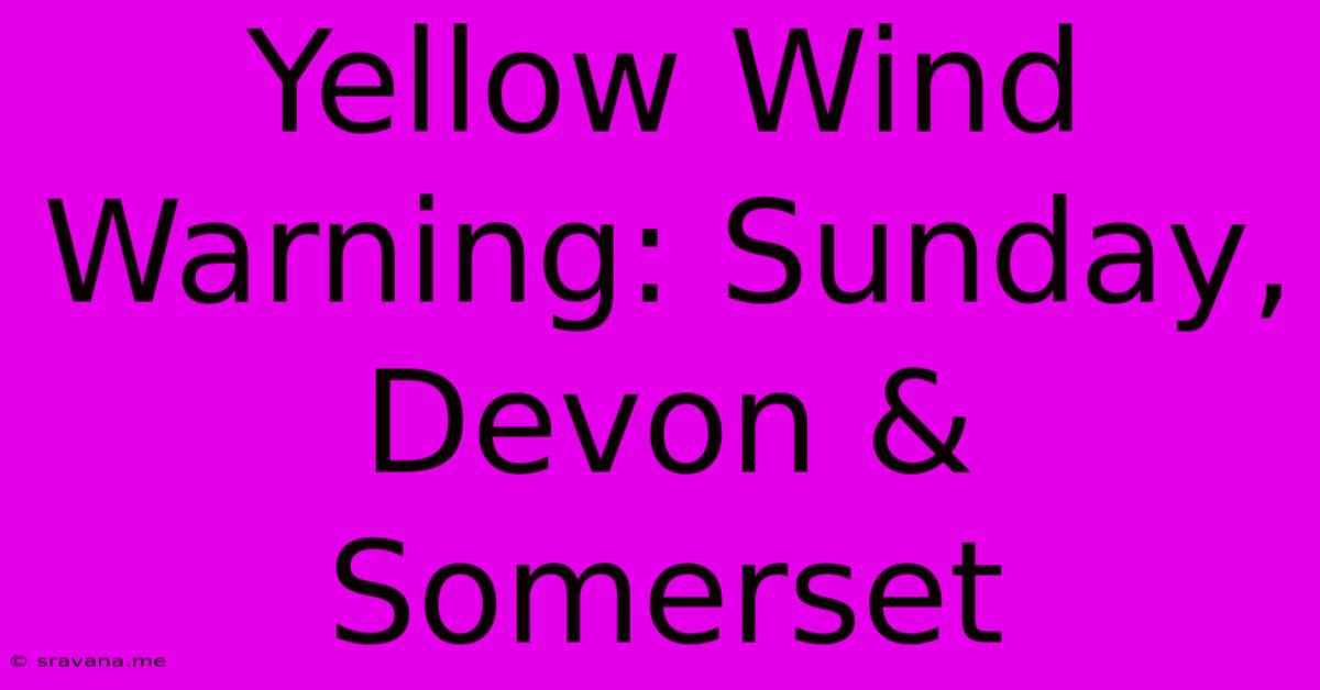 Yellow Wind Warning: Sunday, Devon & Somerset